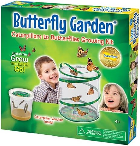 Insect Lore Butterfly Garden (Packaging May Vary) Educational Kit