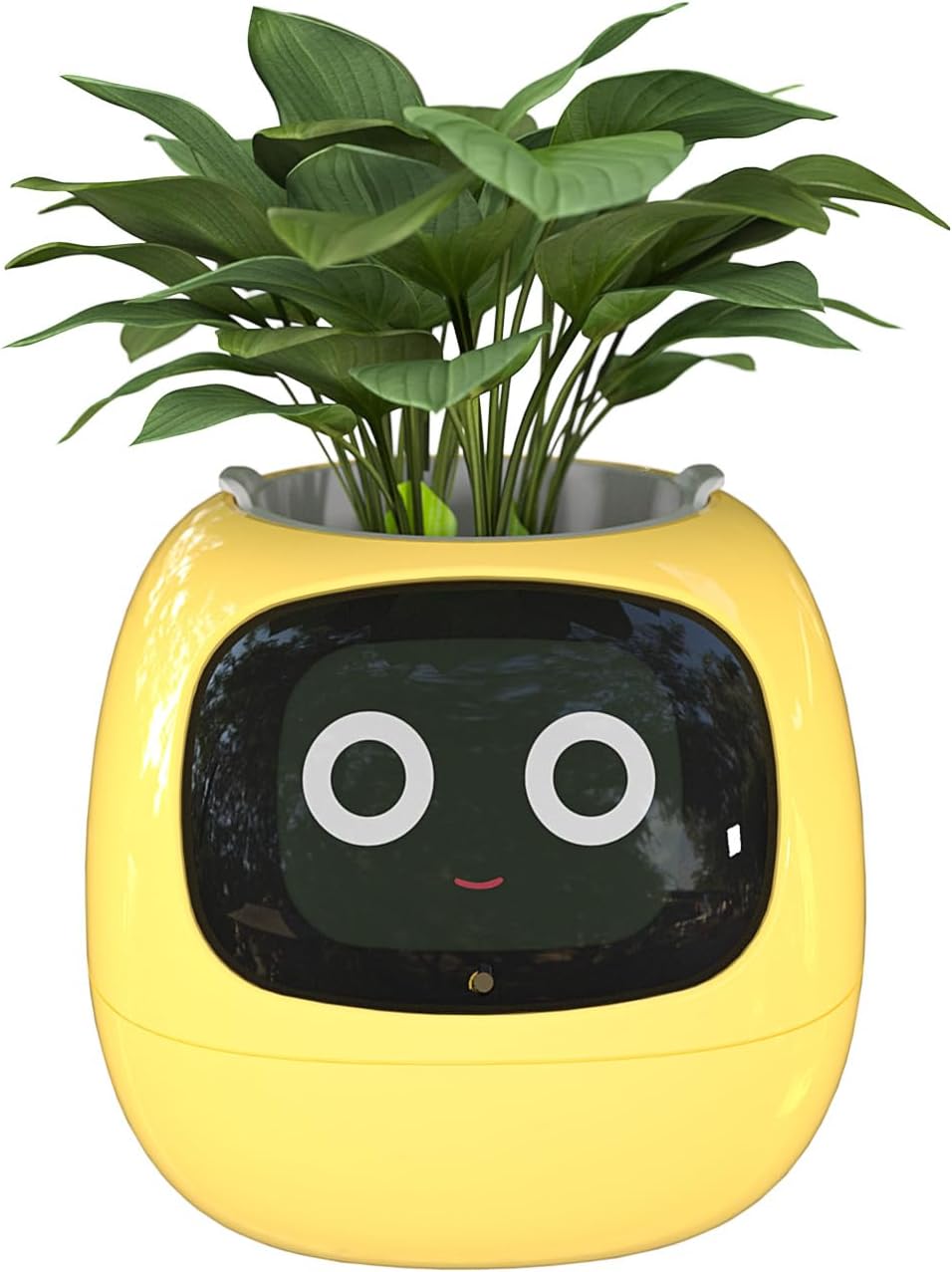 Masdio Mas-Ivy Smart Flowerpot With Artificial Intelligence And Time Temperature Display - Yellow