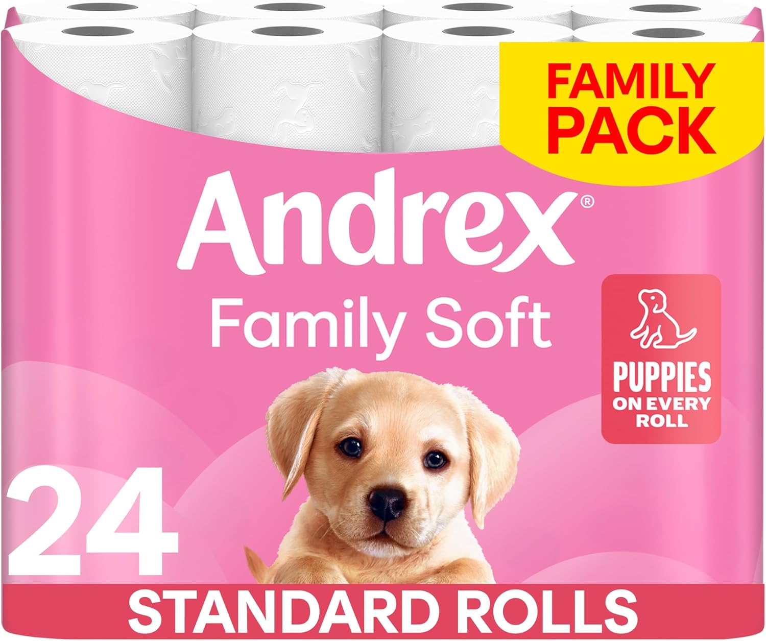 Andrex Family Soft Toilet Paper 24 Rolls (Fsc Certified)