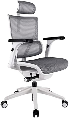 Desk Chairs